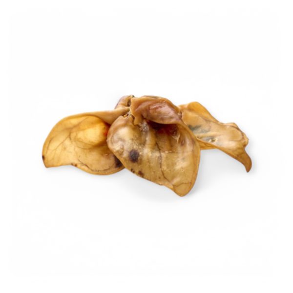 Oreilles de porc XXL – Image 3