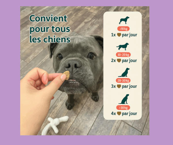 Anti-stress et anxiété | Favorise la paix et l'apaisement  | 60 bonbons – Image 3