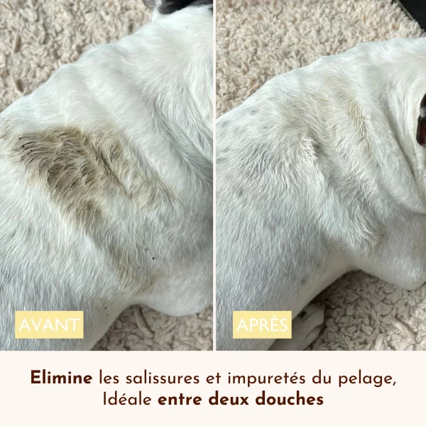 Eau micellaire pour chien nettoyante : Ô Pimpante ! Dexter & Mango – Image 2