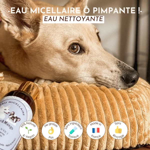 Eau micellaire pour chien nettoyante : Ô Pimpante ! Dexter & Mango – Image 3