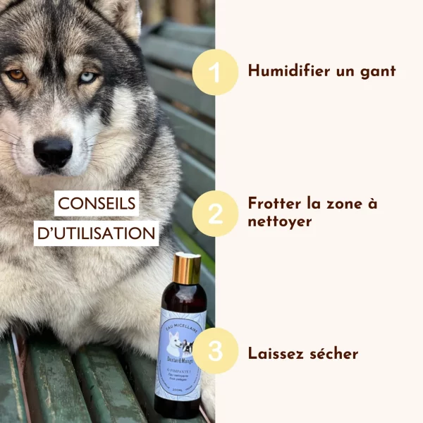Eau micellaire pour chien nettoyante : Ô Pimpante ! Dexter & Mango – Image 4