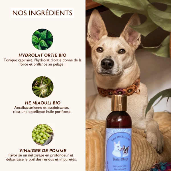 Eau micellaire pour chien nettoyante : Ô Pimpante ! Dexter & Mango – Image 5