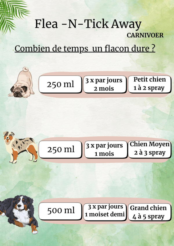 Flea 'N Tick Away concentré 10 ml – Image 2