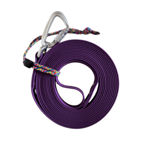 hexa violette securisé
