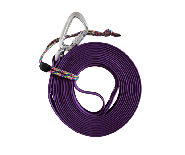 hexa violette securisé