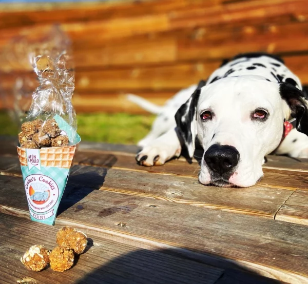 Friandises croquantes et naturelles pour chiens au poulet et au thon Beijinhos Cooka's  Cokkies – Image 3