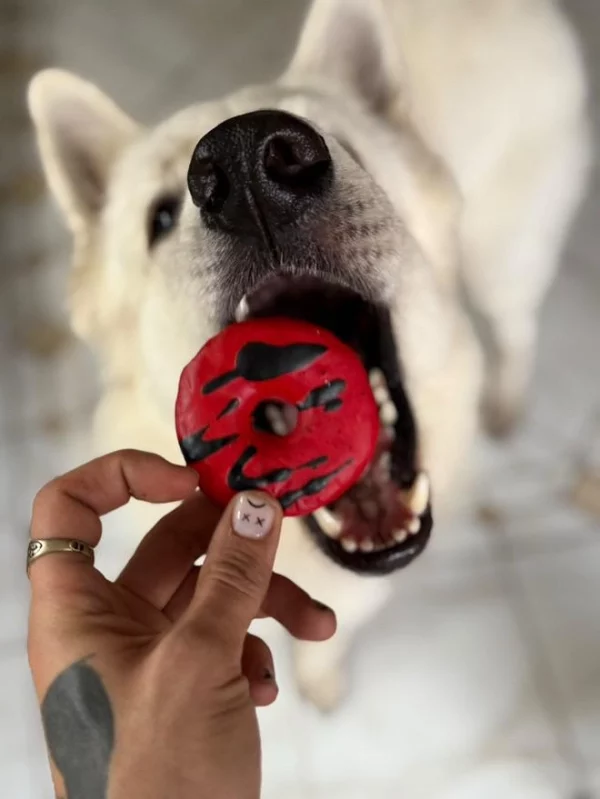 Beignets aux vampires - Friandises d'Halloween pour chiens  Cookies – Image 3