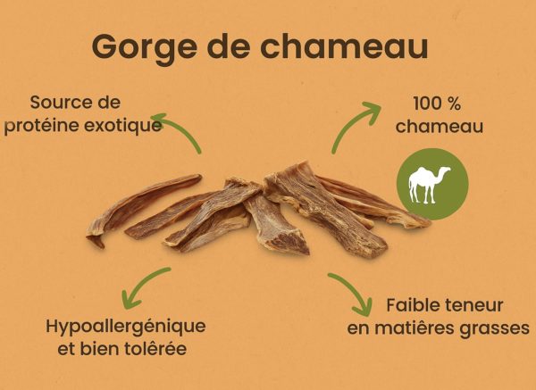 Gorge  de Chameau Séché 250 gr – Image 2