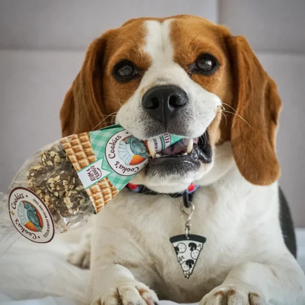 Friandises croquantes et naturelles pour chiens au poulet et au thon Beijinhos Cooka's  Cokkies – Image 5