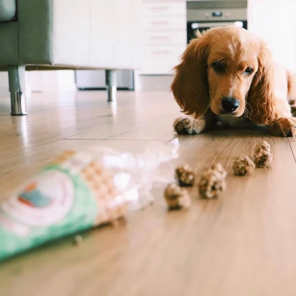 Friandises croquantes et naturelles pour chiens au poulet et au thon Beijinhos Cooka's  Cokkies – Image 4