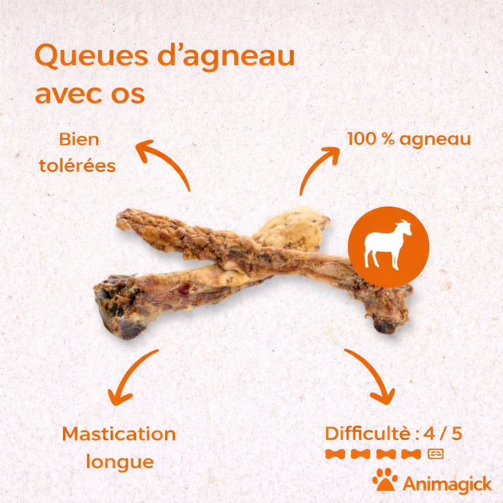 Queues d'agneau avec os – Image 3