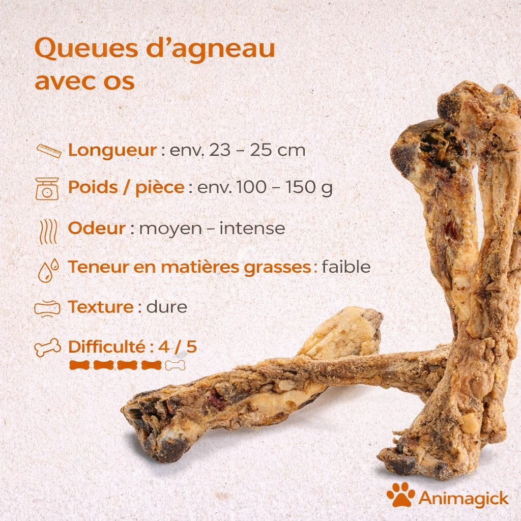 Queues d'agneau avec os – Image 2