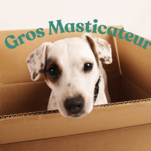 Box  gros masticateur - 35€