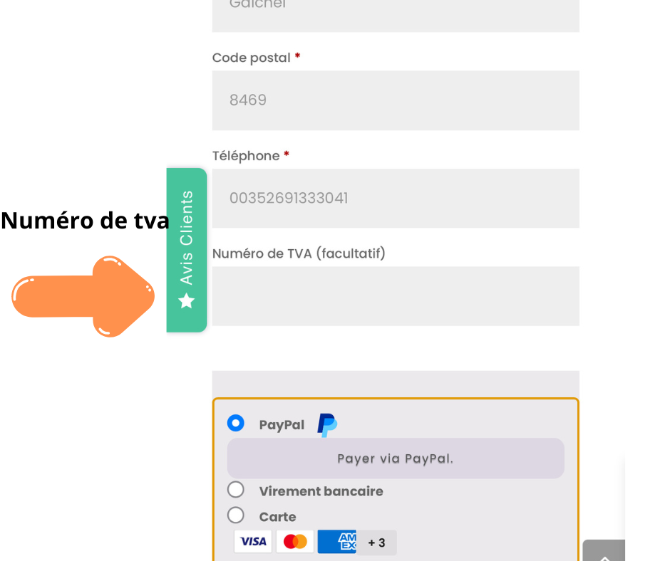Mantrailing 1 session avec Nathalie de Elite K9 👉 DATE 26 Avril 2026 – Image 3