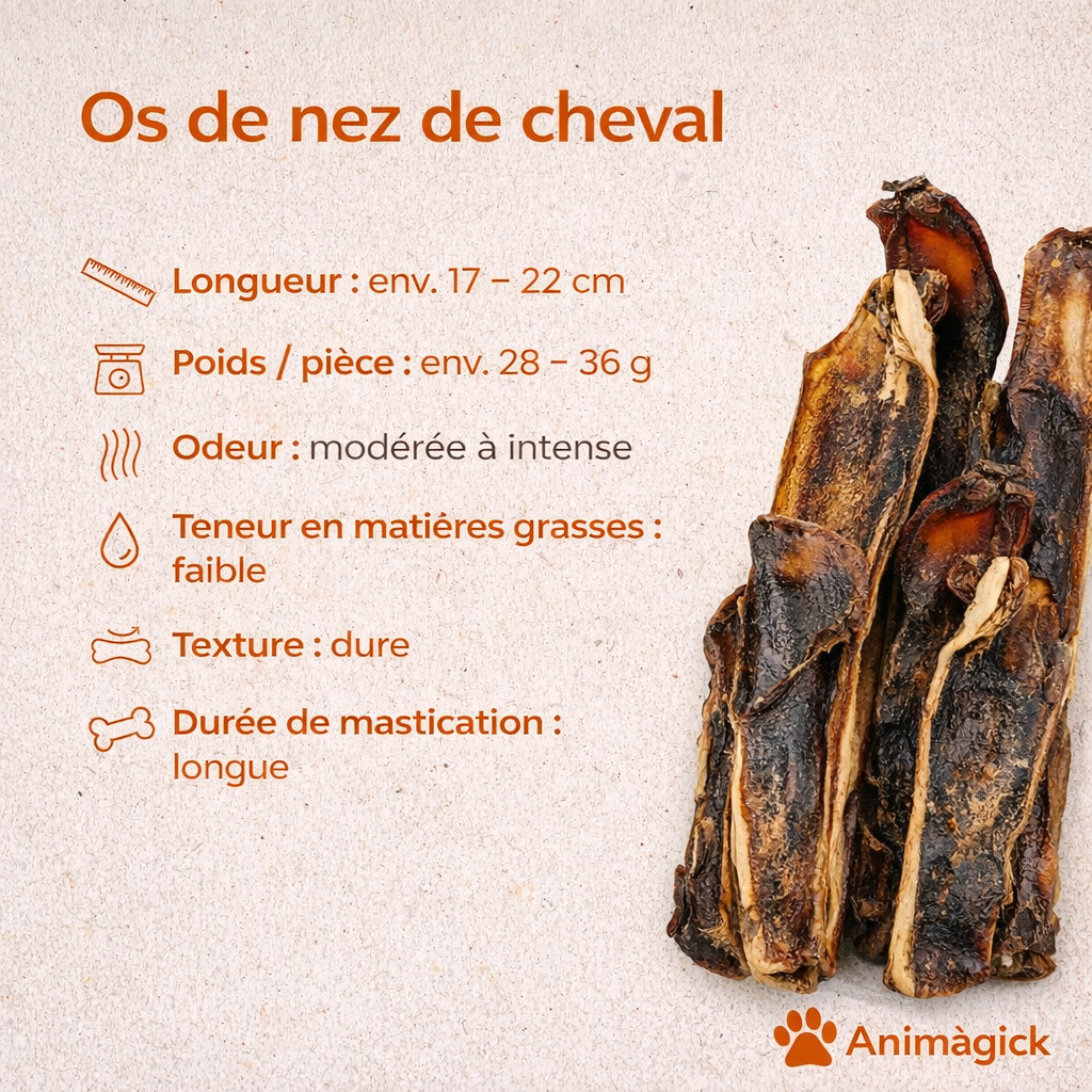 Os nasaux de cheval – Image 2