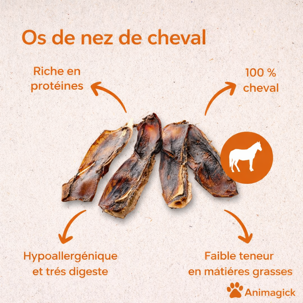 Os nasaux de cheval – Image 3