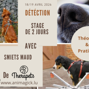 Stage de découverte – Détection d’odeurs