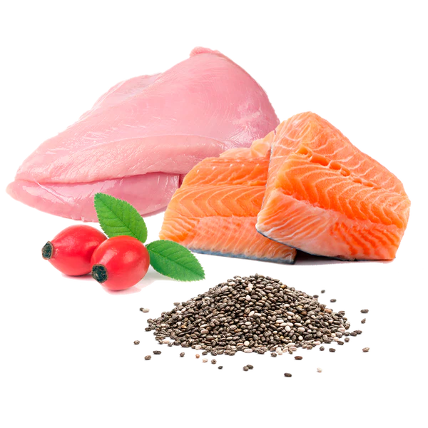 Michi Mimos BIO (Dinde et Saumon) Puromenu – Image 3