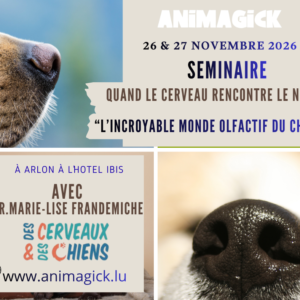 Séminaire "Quand le cerveau rencontre le nez : l’incroyable monde olfactif du chien "