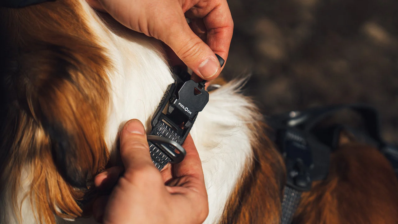 Collier Ridgeline™ Ruffwear – Image 5