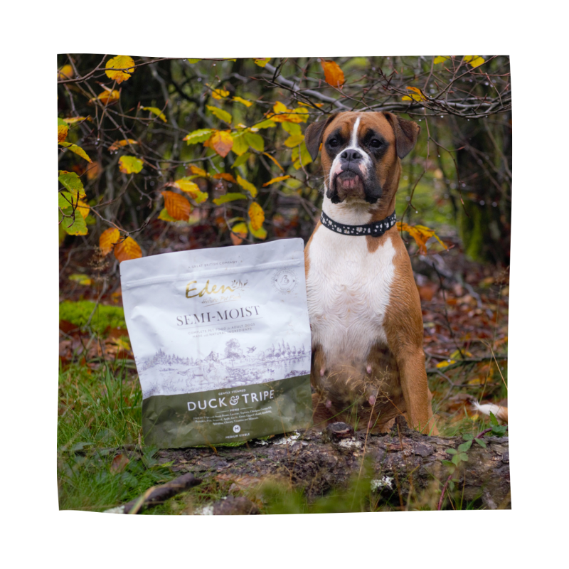 Eden Dog Semi- humide Canard & Tripe 10 kg – Image 4