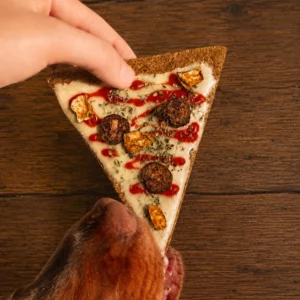 Pizza pour chien  Cooka's Cookies